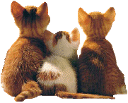 74861eb43f_9765834_o2.gif