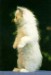 91adeff054_25328542_o2.jpg