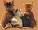 74861eb43f_9765834_o2.gif